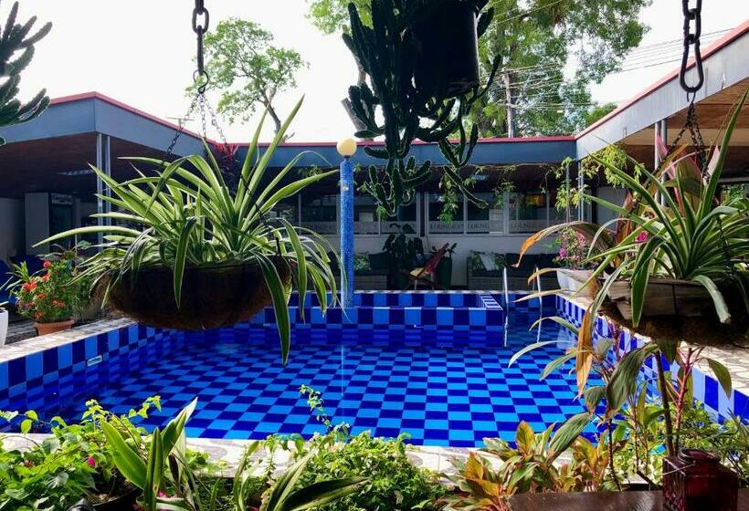 اتاق اکونومی, Holland Lodge Paramaribo