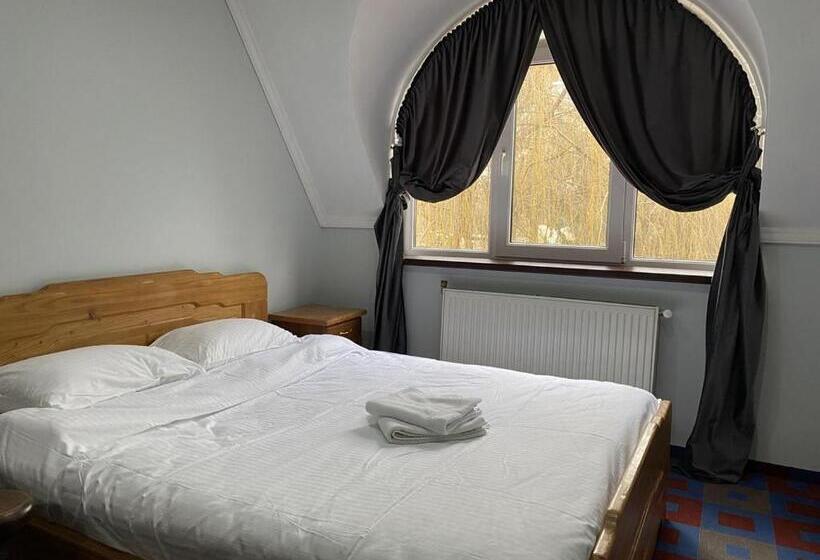 Standard-huone, Leoton Chernivtsi