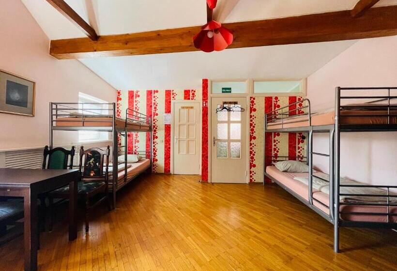 ルームシェアのワンベッド, Mikalo House