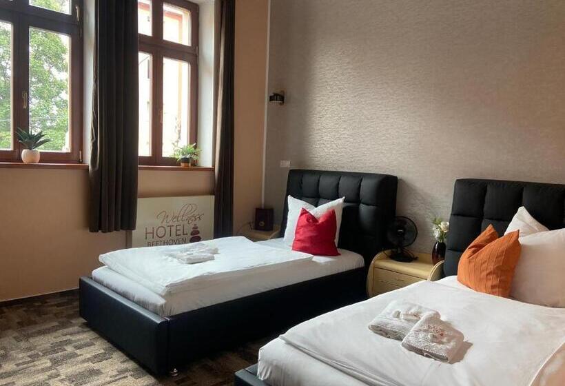 Номер Стандарт, Wellness Hotel Beethoven