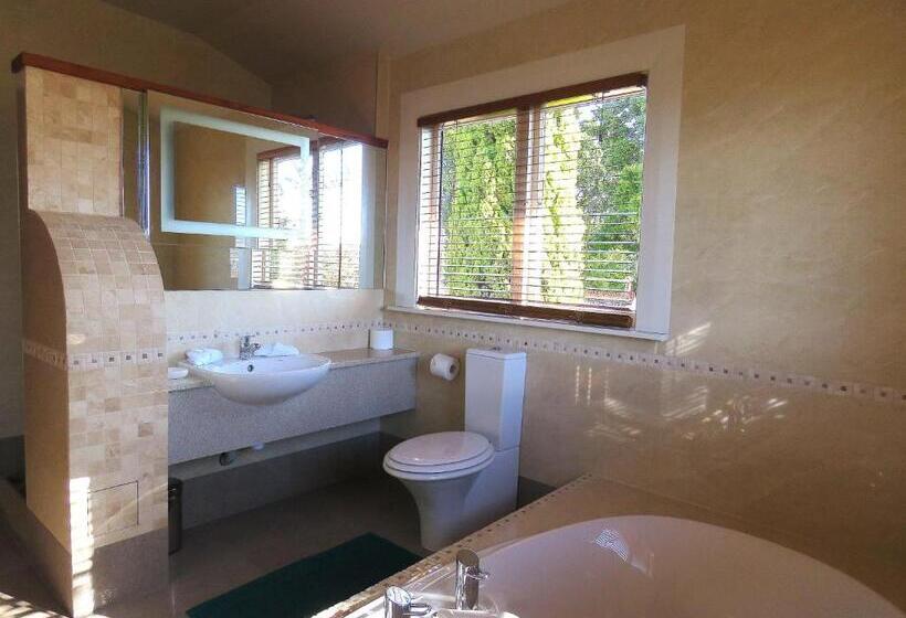 Номер Стандарт с Гидромассажем, Shady Rest Bed & Breakfast