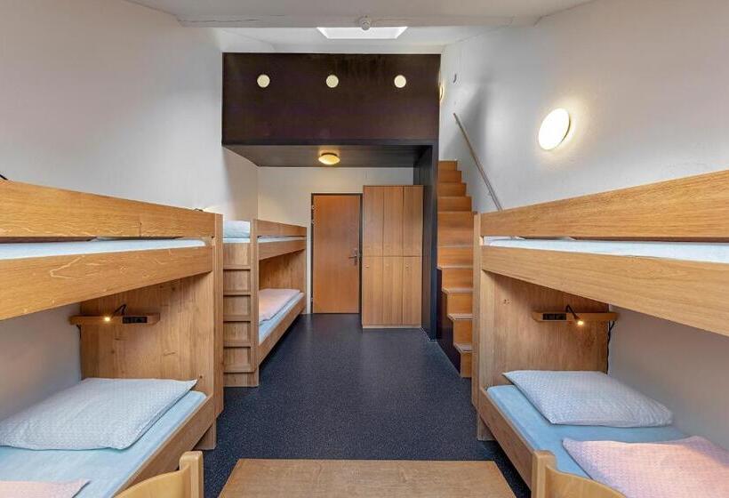 Кровать в Общей Комнате, Baden Youth Hostel