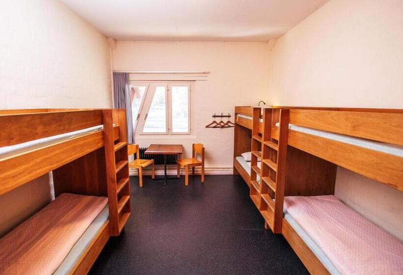 Кровать в Общей Комнате, Baden Youth Hostel
