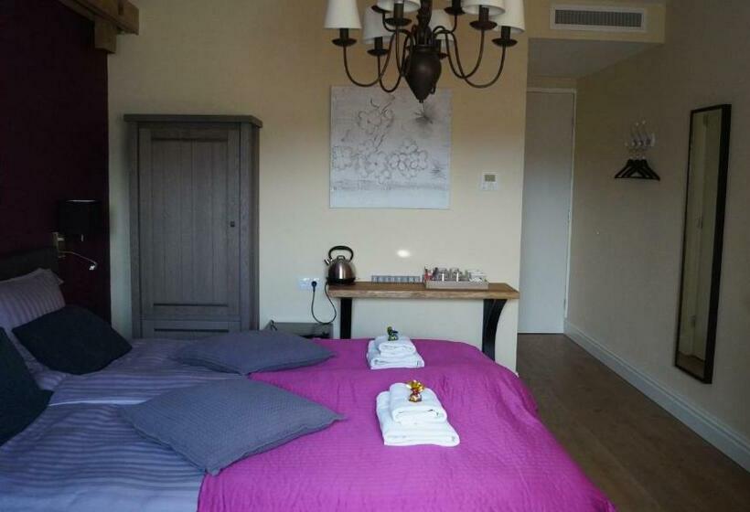 带大床的高级房间, B&b Johannes Hoeve