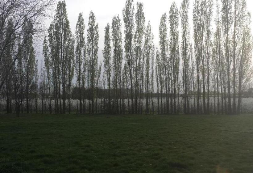 带大床的标准间, B&b Johannes Hoeve