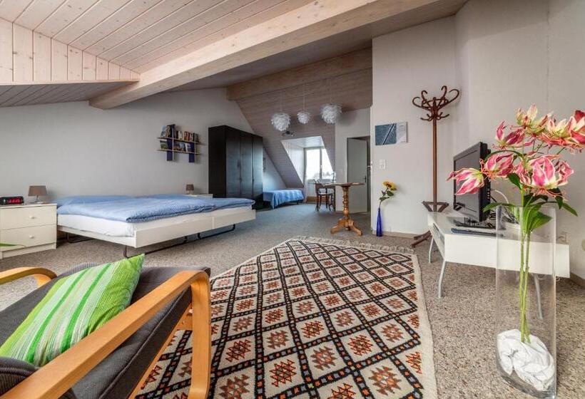 スタンダードルーム, Mybednbreakfast In Bottmingen