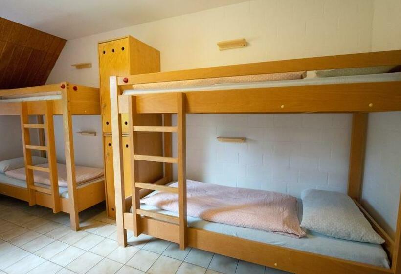 Номер Стандарт Совместная Ванная, Delémont Youth Hostel
