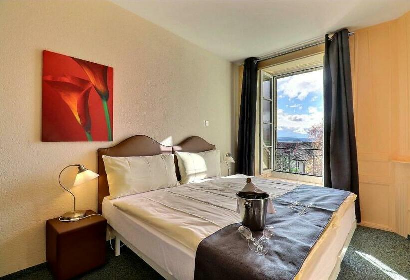 Номер Стандарт, Hôtel Restaurant Bellevue