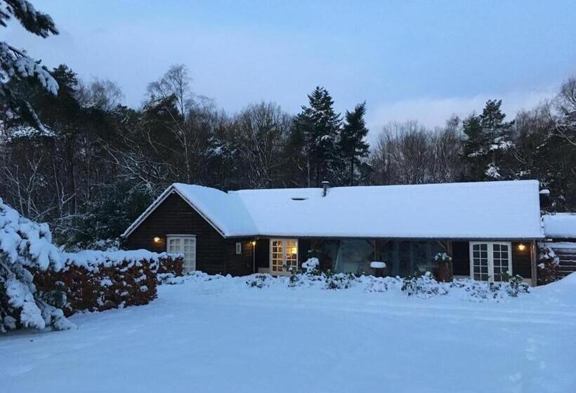 豪华房间, B&b En Boshuis Darthuizerpoort