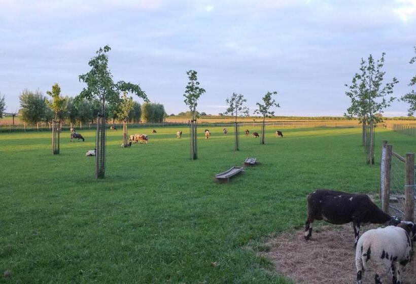 豪华园景房, De Nachtdijk
