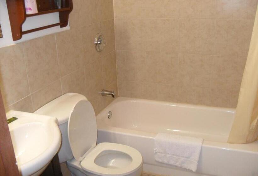 标准间, Forest Plaza Motel