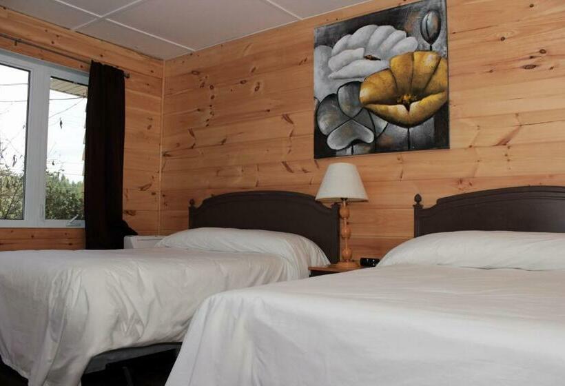 Standaard Vierpersoonskamer, Motel 149