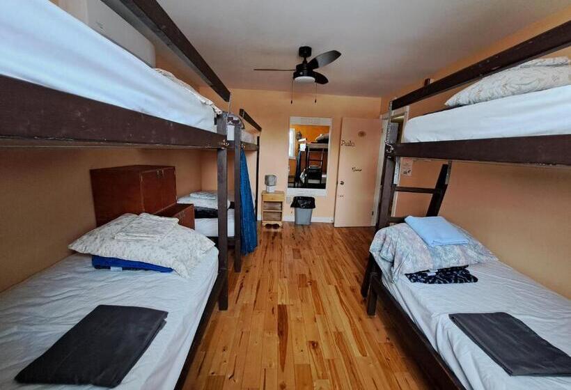 Апартаменты 1 Спальня, Auberge Jeunesse à Loulou