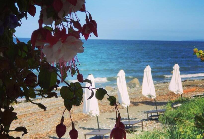 带海景的标准房, Qualicum Breeze Beach Resort