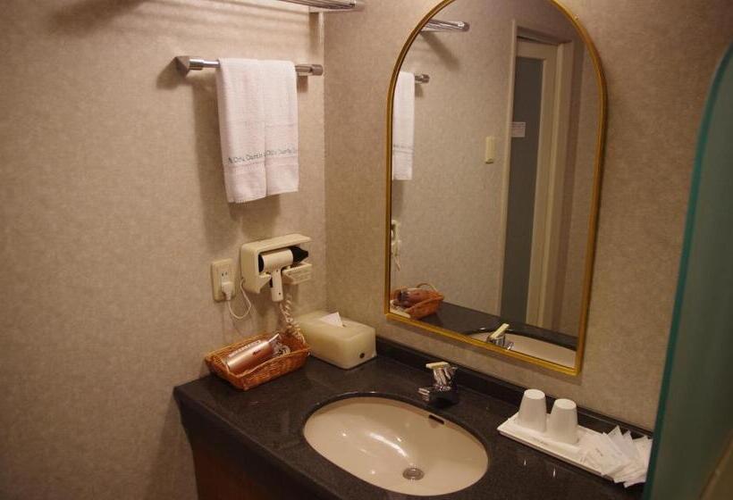 Номер Дюплекс, Gifu Castle Inn