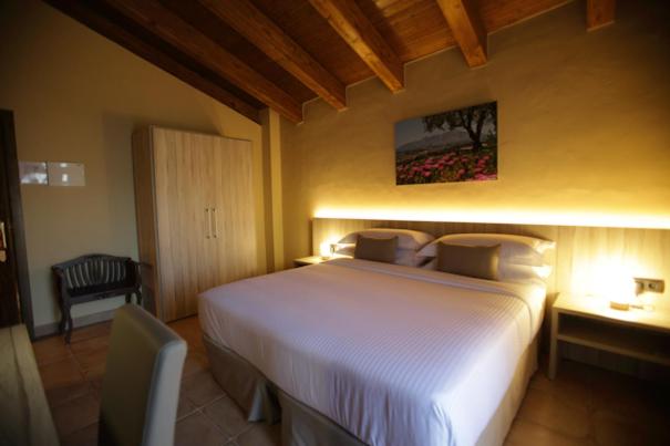 Habitación Superior con Terraza, Can Panyella
