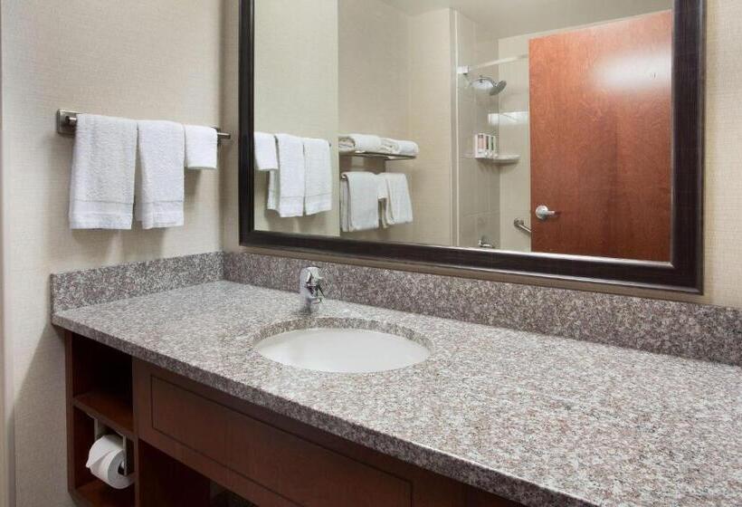 סוויטה מותאמת לאדם עם מוגבלויות, Drury Plaza Hotel Mt Vernon