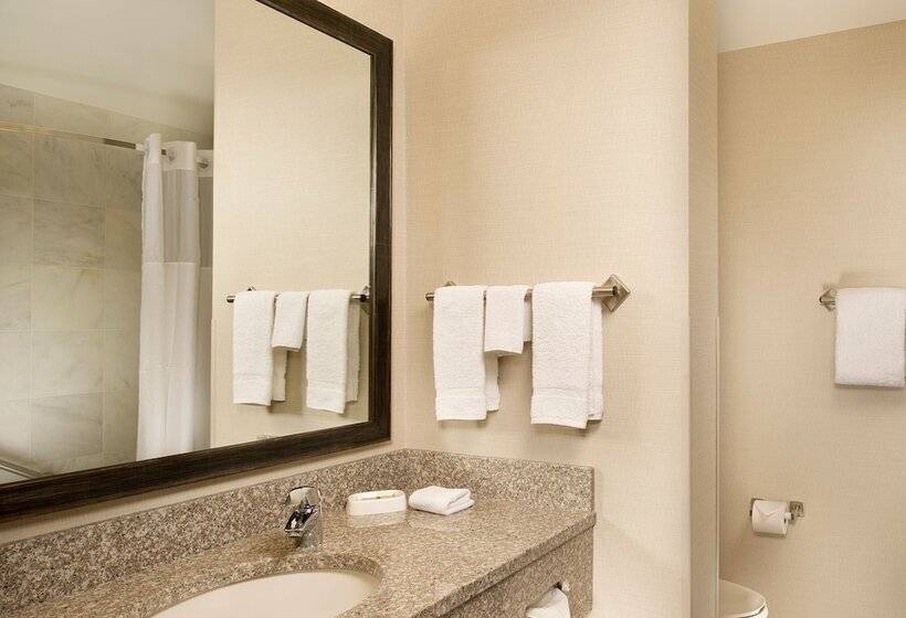 סוויטה מותאמת לאדם עם מוגבלויות, Drury Plaza Hotel Mt Vernon