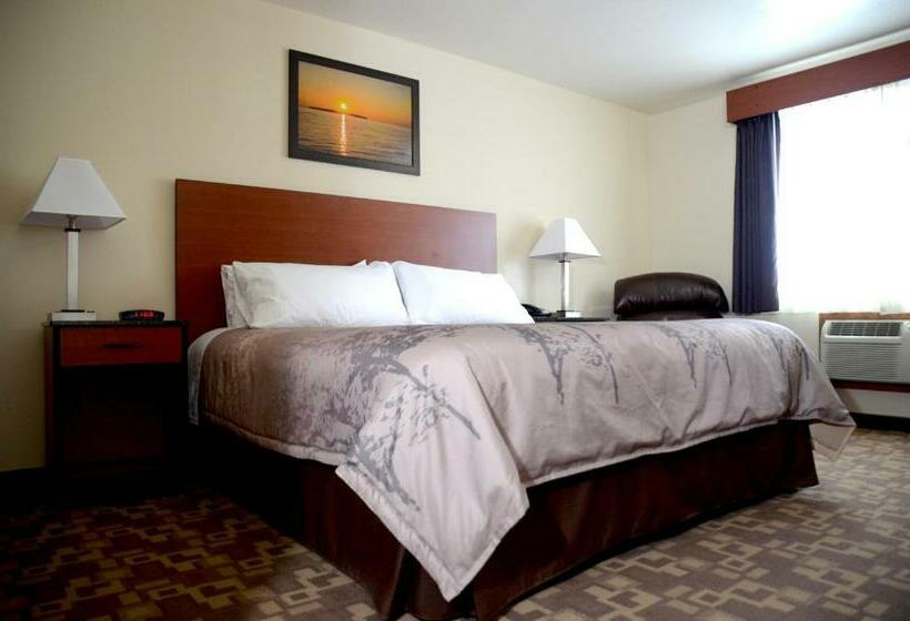 Стандартный Номер Кровать Кинг, North Star Hotel Pictured Rocks