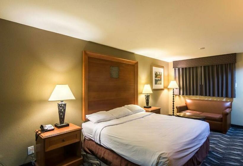 Номер Deluxe Кровать Кинг, Motel 6 snyder, Tx