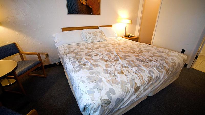Номер Стандарт, Alger Falls Motel