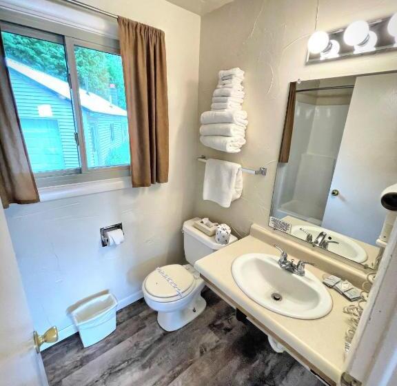 Номер Стандарт, Alger Falls Motel