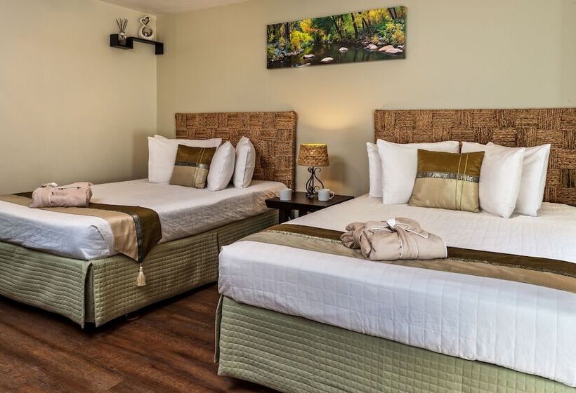 Номер Superior, Sheridan House Inn  Adult Only Accommodation