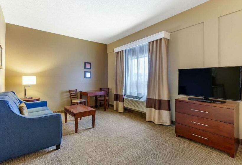 带大床的标准间, Comfort Inn Aikens Center