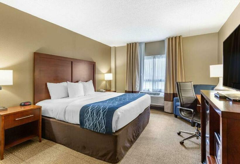 带大床的标准间, Comfort Inn Aikens Center