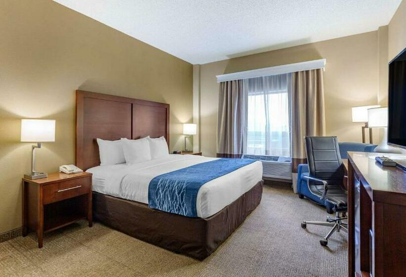 适合残疾人士使用的带超级大床的标准间, Comfort Inn Aikens Center