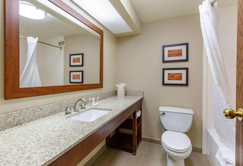 套房, Comfort Inn Aikens Center