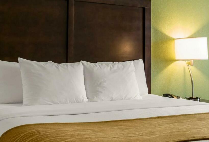 스탠다드 룸 킹사이즈 침대, Comfort Inn Sylva   Cullowhee