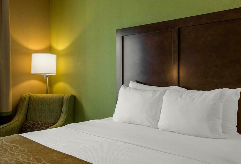 스탠다드 룸 킹사이즈 침대, Comfort Inn Sylva   Cullowhee