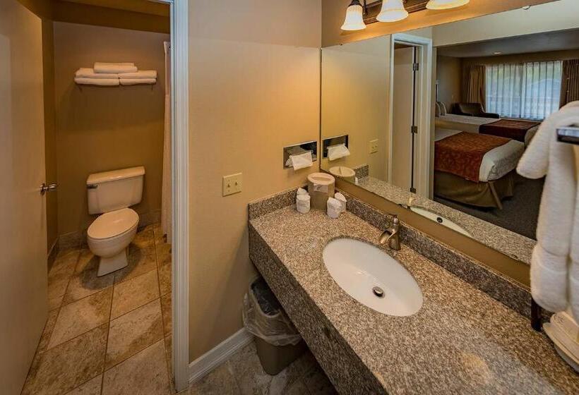 חדר סטנדרט מותאם לאדם עם מוגבלויות, Mill Village Motel