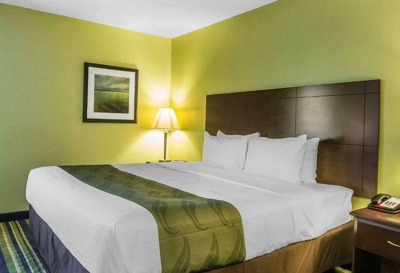 Стандартный Номер Кровать Кинг, Quality Inn Cedartown