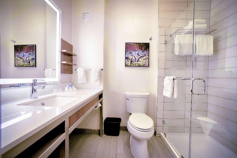 Стандартный Номер Кровать Кинг, Hilton Garden Inn Santa Barbara/goleta