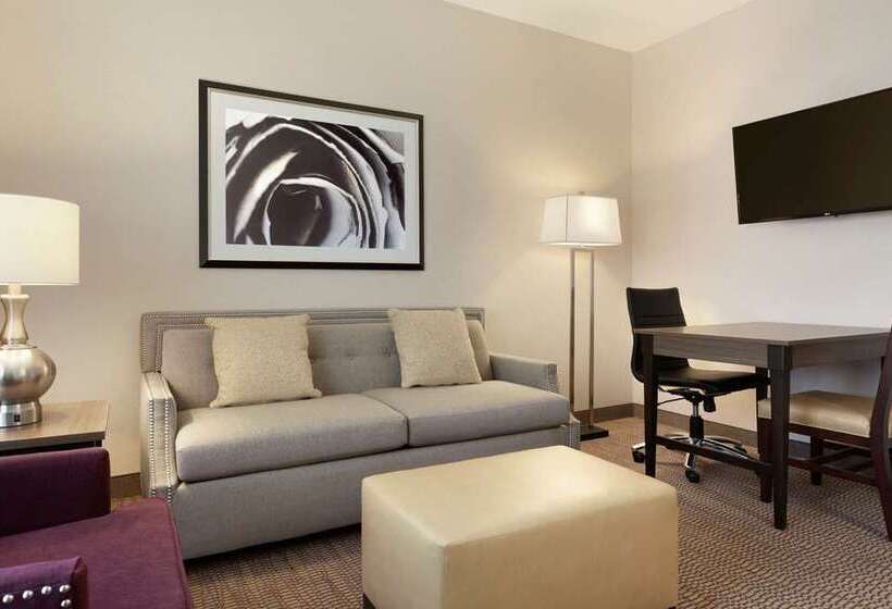 스위트, Home2 Suites By Hilton Minneapoliseden Prairie