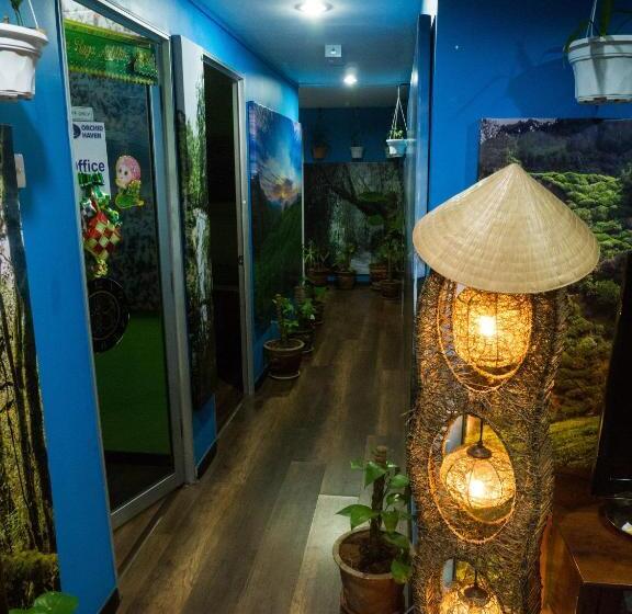 Номер Стандарт, Orchid Haven