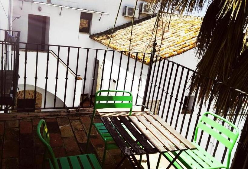 Номер Стандарт с Террасой, Hostel Café Frenteabastos