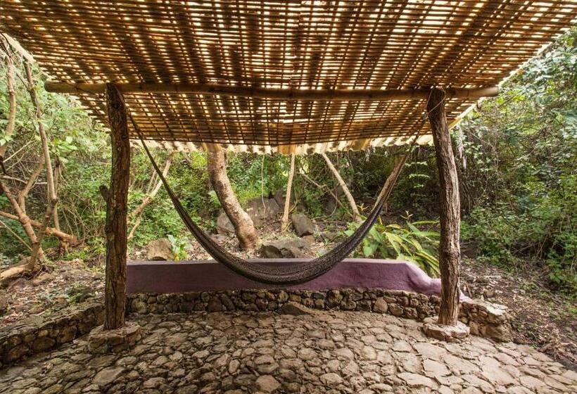 غرفة سوبيريور, Yolitia Wellness