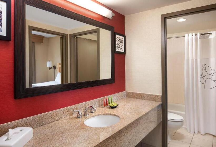 Королевский Номер, Great Wolf Lodge New England