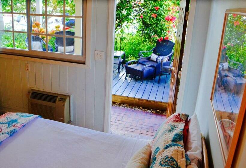 Номер Deluxe, Sea Turtle Inn
