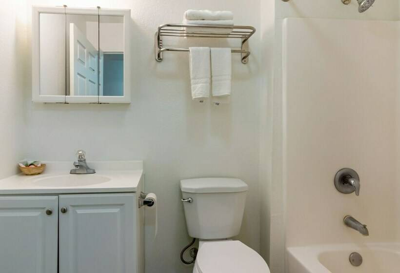 프리미엄 룸, OYO Hotel Pearsall I-35 East