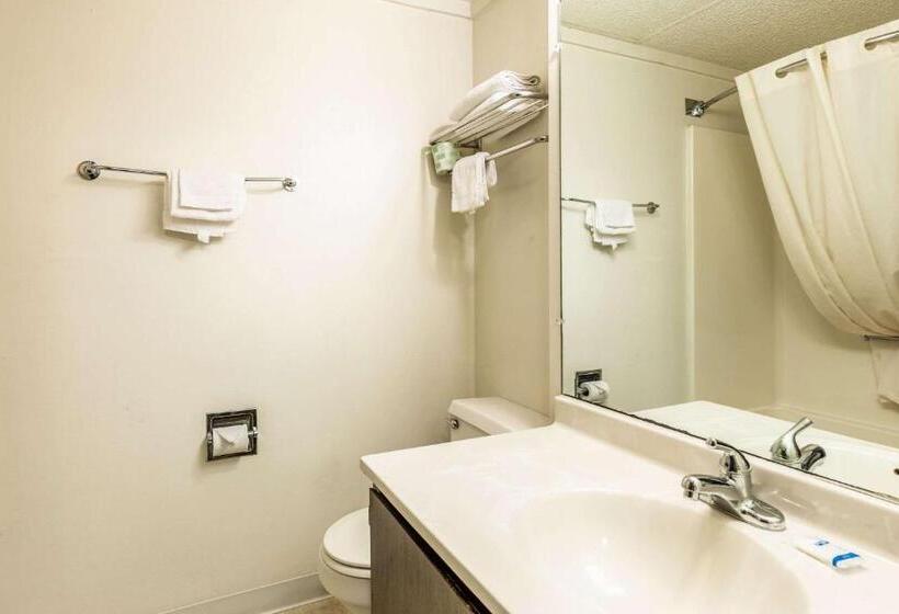 스위트, Value Inn Kenosha I 94   Exit 344