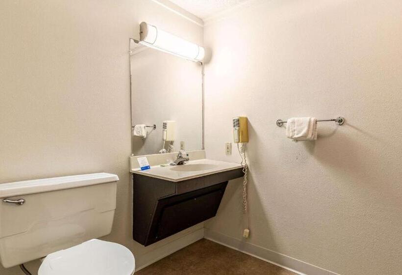 장애인을 위한 킹사이즈 침대 스탠다드 룸, Value Inn Kenosha I 94   Exit 344