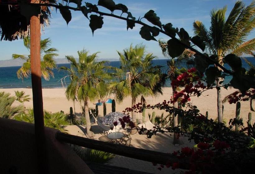 スーペリアールーム, Ventana Bay Resort