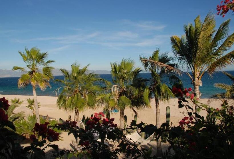 スーペリアールーム, Ventana Bay Resort