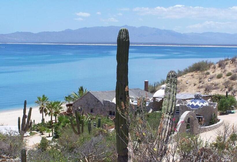 بنجلو قياسى مطل على البحر, Ventana Bay Resort