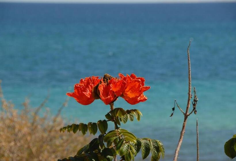 Superior bungalow with sea view, Ventana Bay Resort