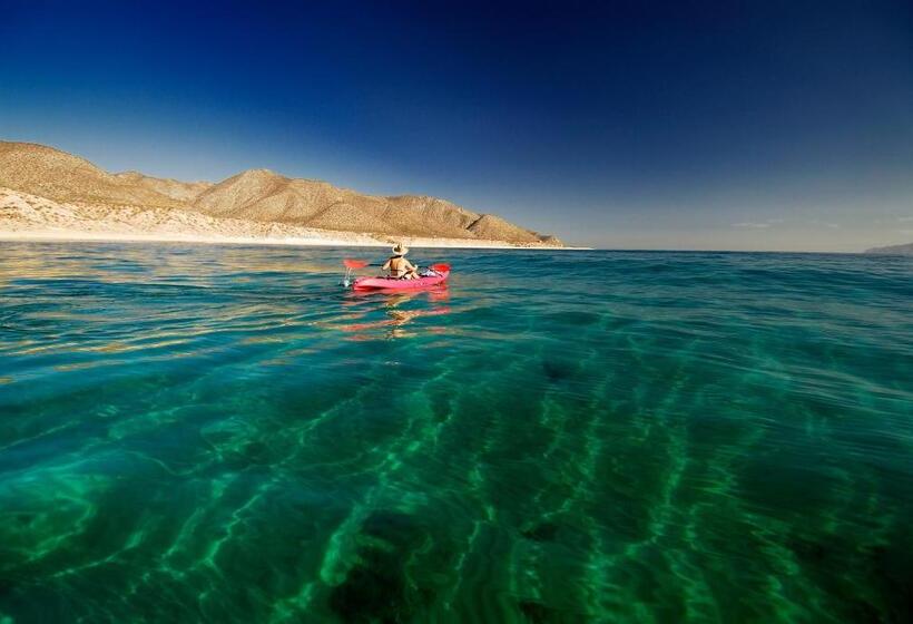 غرفة قياسية مطلّة علي البحر, Ventana Bay Resort